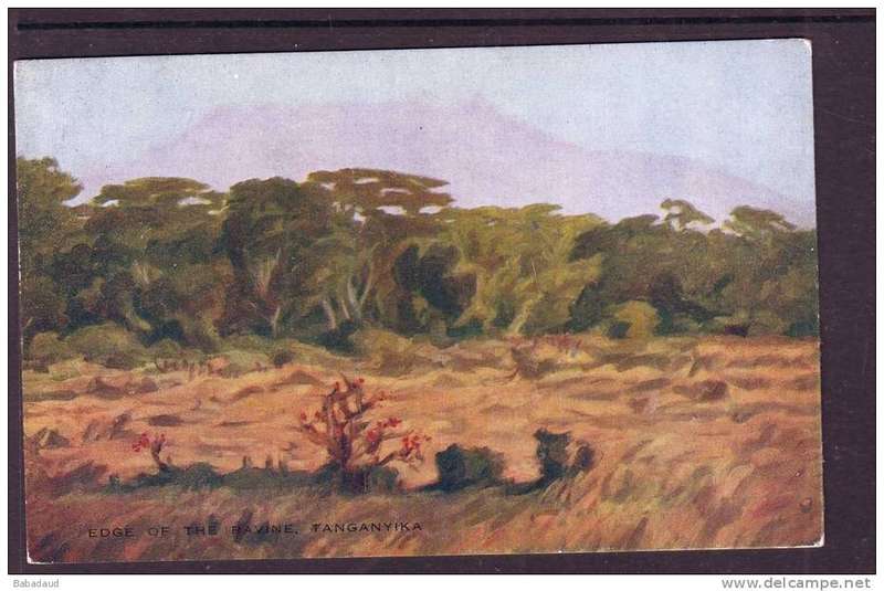 Edge of the ravine, Tanganyika, art, Miss A.V. Hammond