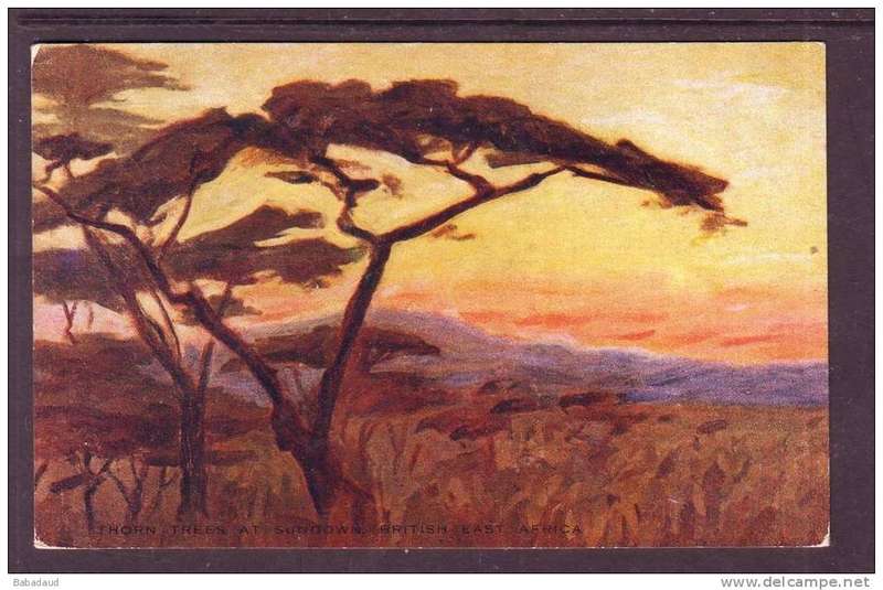 Thorn trees at sundown, British East Africa (Kenya), art, Miss A.V. Hammond