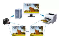 sRGB ensures color matching between display and printouts