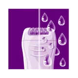 Wet & Dry