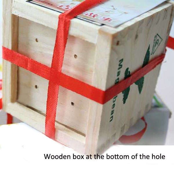 Wooden Mini Bonsai