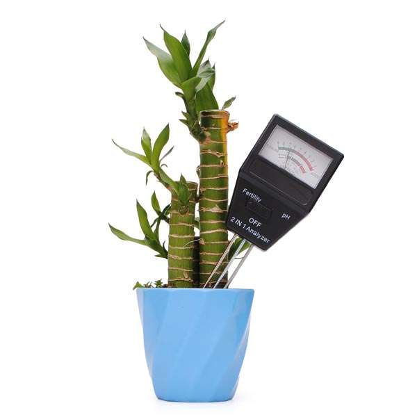 2 in 1 soil pH fertility tester