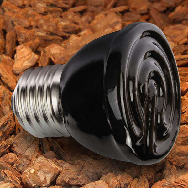 220V Reptile Insulation Lamp Crawler Mini ceramic Heating Lamp Night Light 20W/40W/60W/100W