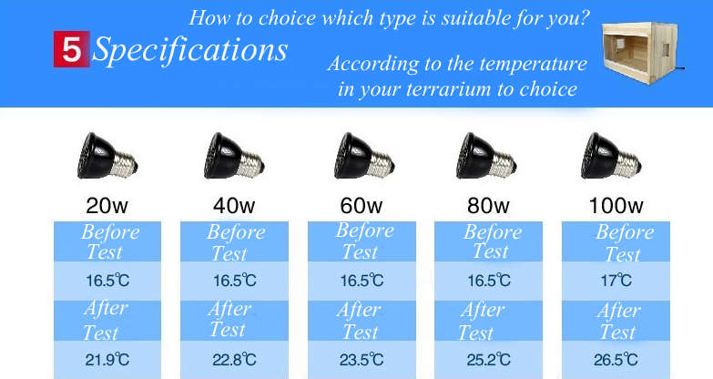 220V Reptile Insulation Lamp Crawler Mini ceramic Heating Lamp Night Light 20W/40W/60W/100W