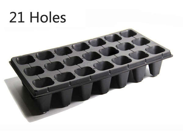 nursery seedling plate