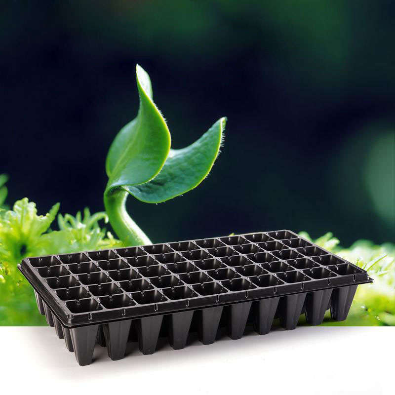 nursery seedling plate