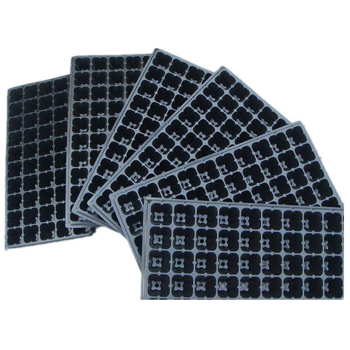 nursery seedling plate