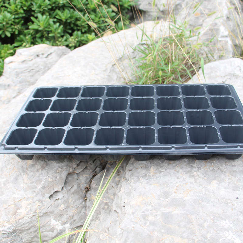nursery seedling plate