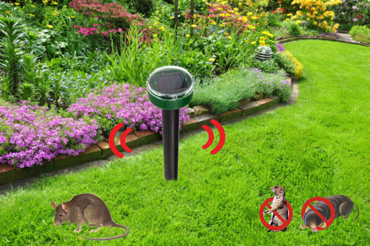 garden solar mouse repeller