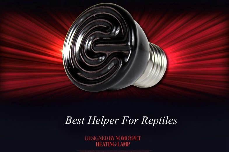 220V Reptile Insulation Lamp Crawler Mini ceramic Heating Lamp Night Light 20W/40W/60W/100W