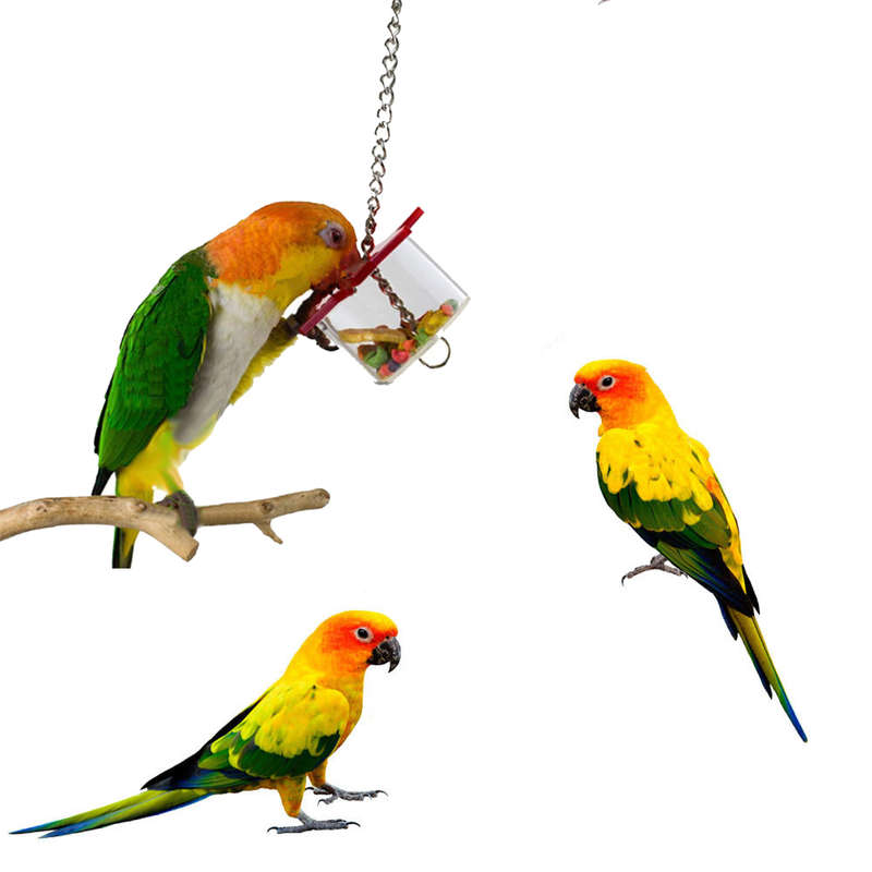Bird Feeding Box Parrot Pet Bird Hex Star Acrylic Foraging Feeder Box Hanging Cage Swing Chew Toys