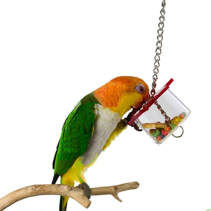 Bird Feeding Box Parrot Pet Bird Hex Star Acrylic Foraging Feeder Box Hanging Cage Swing Chew Toys