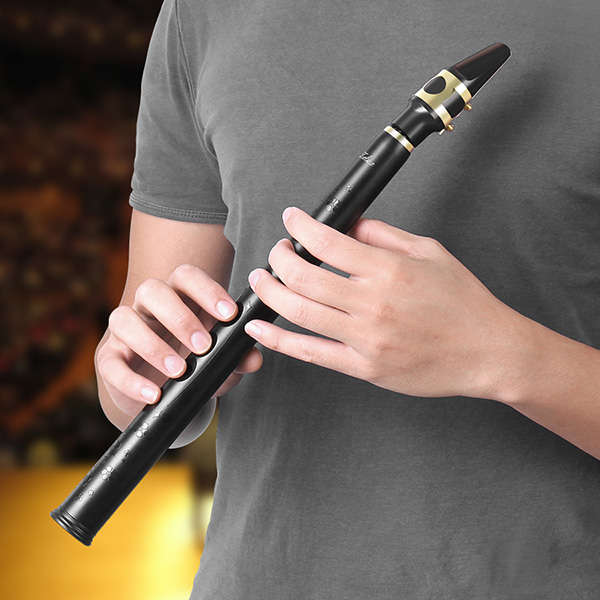 Zebra¿¿¿ 8 Holes Key-Bb Mini Sax Pocket Saxophone Xaphoon with Alto Mouthpiece