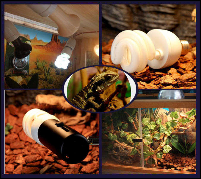 220V UVB Reptile Lamp Calcium White Ceramic Emitter Fluorescent Light Heated Breeding Vivarium Lamp 