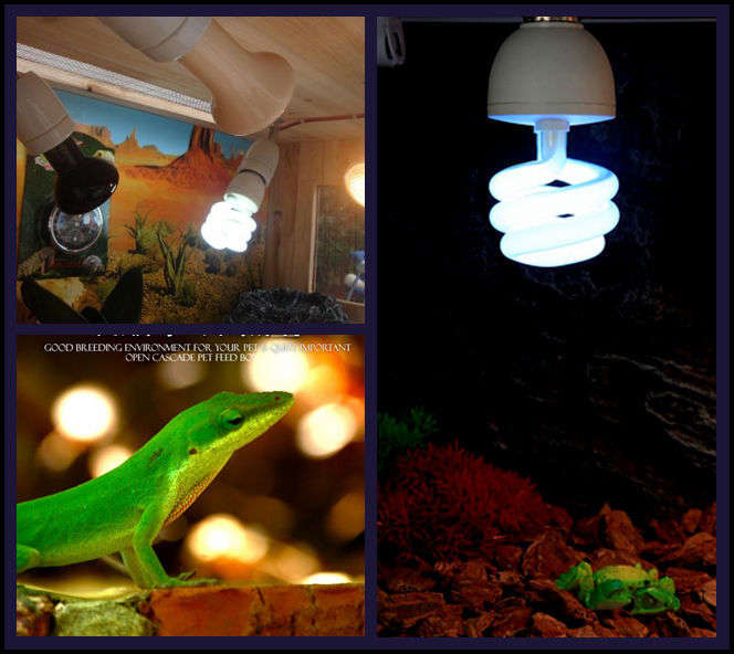 220V UVB Reptile Lamp Calcium White Ceramic Emitter Fluorescent Light Heated Breeding Vivarium Lamp 