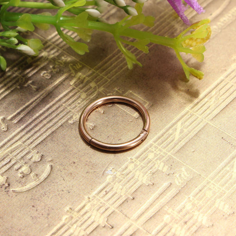 10mm Stainless Steel Hoop Ring Ear Lip Nose Septum Segment Body Jewelry