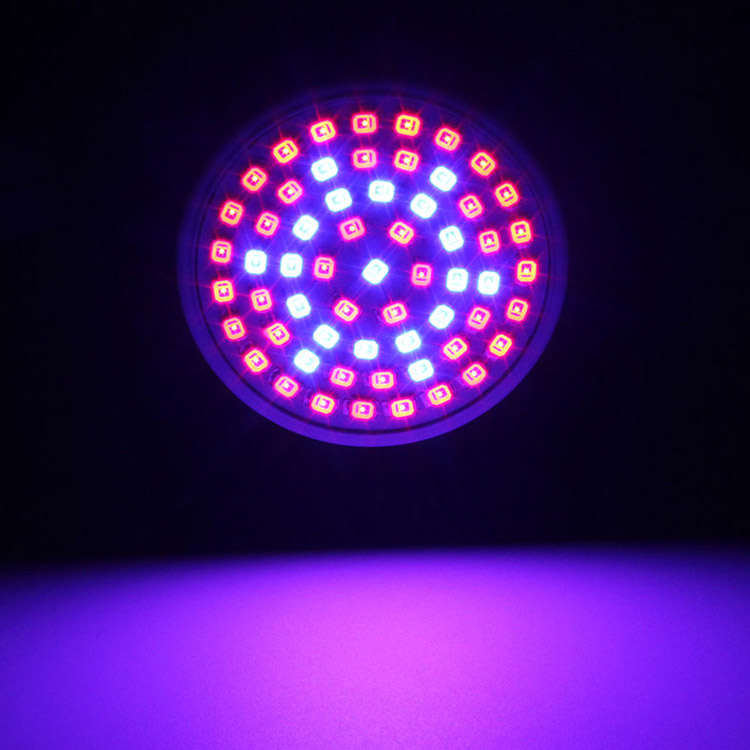 3W 41 Red 19 Blue garden plant grow lamp bulb