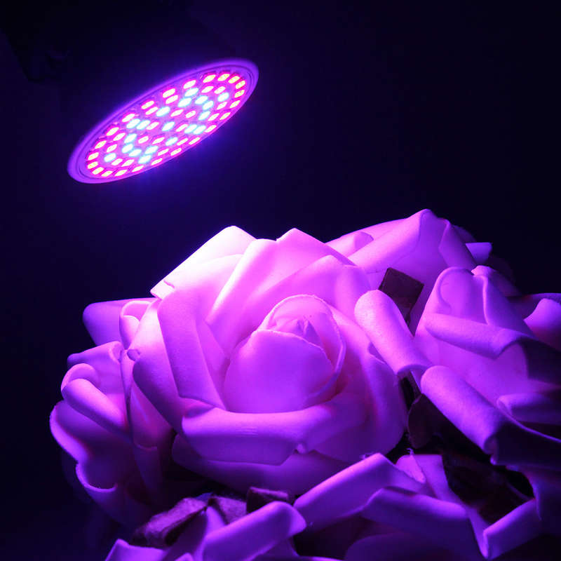 3W 41 Red 19 Blue garden plant grow lamp bulb