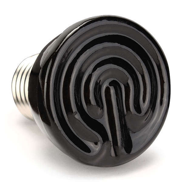 220V Reptile Insulation Lamp Crawler Mini ceramic Heating Lamp Night Light 20W/40W/60W/100W