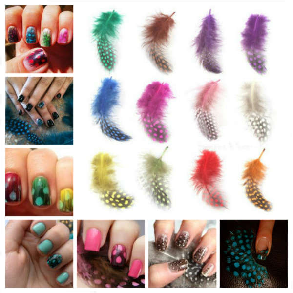 DIY Nail Art 12 Color Feather Series