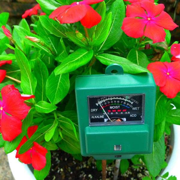 garden soil tester