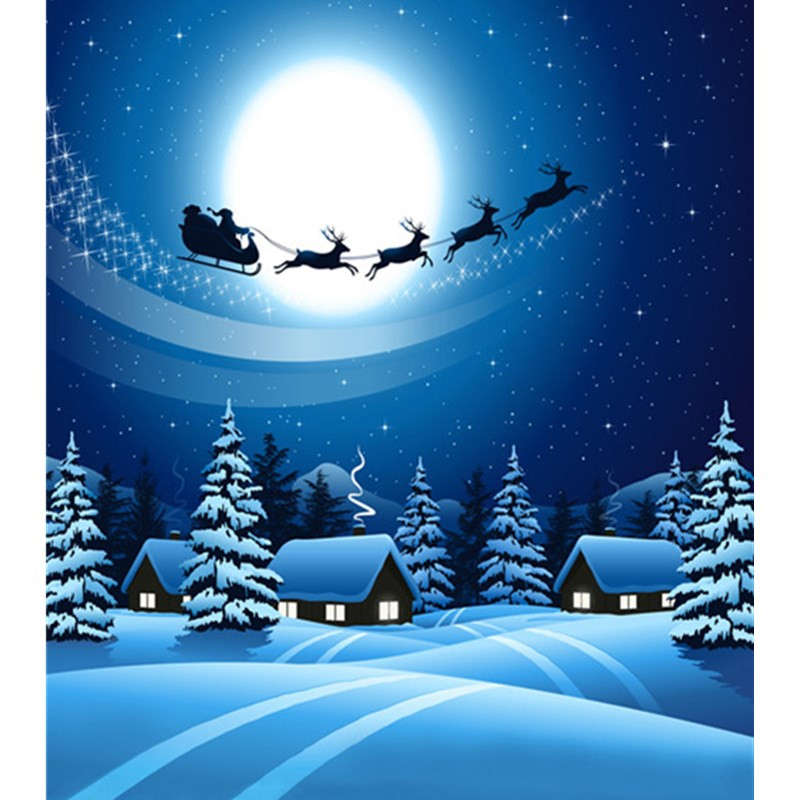 7X5FT Christmas Deer Sled Snow Studio Backdrop Photography Prop Photo Background
