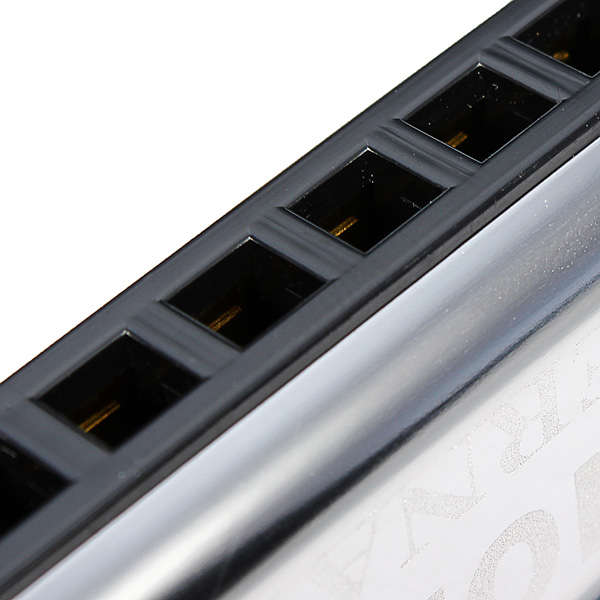 Silver Star HOHNER 10 Holes Blues Harmonica Key Of C