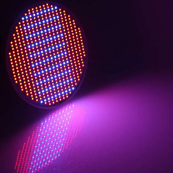seedling growth light
