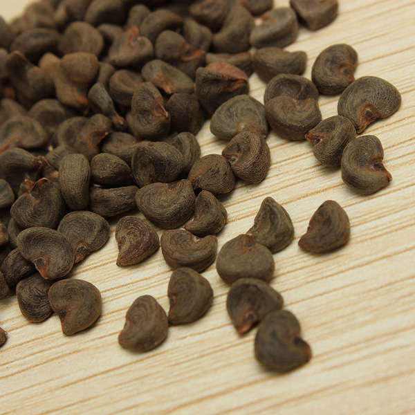 herb seeds