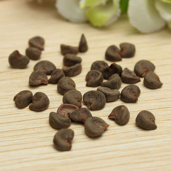 roselle seeds