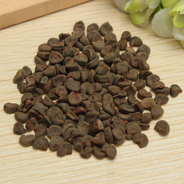 hibiscus sabdariffa seed