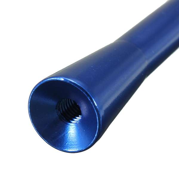 Universal Blue 3 IN 1 Car Auto Bee Sting AM FM Signal Radio Antenna Aerial