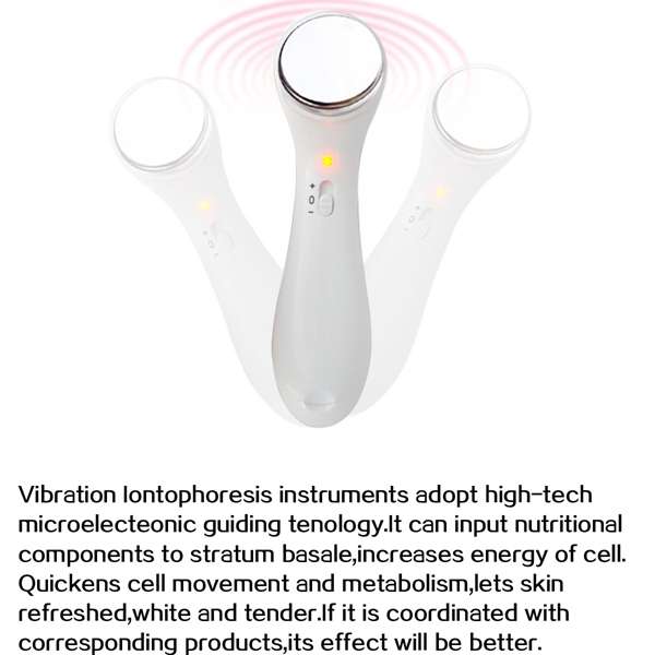Micro Vibrate Anti-wrinkle Facial Massager Roller Ion Face Care Clean Tool