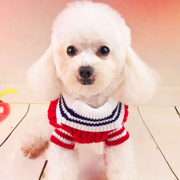Pet Dog Cotton Navy Sweater Comforable Warm Winter Sweater