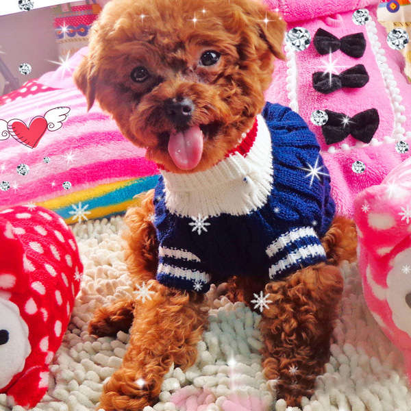 Pet Dog Cotton Navy Sweater Comforable Warm Winter Sweater