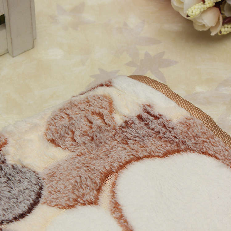 absorbent coral velvet carpet