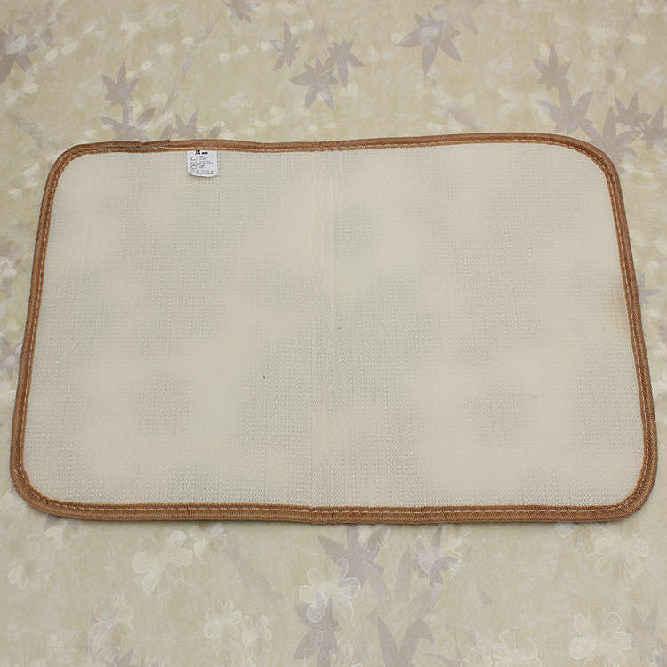 absorbent coral velvet carpet
