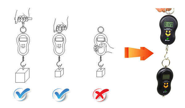 Digital Luggage Scale