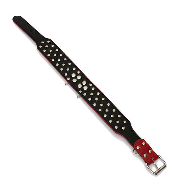 Pet Bulldog Spiked Collar