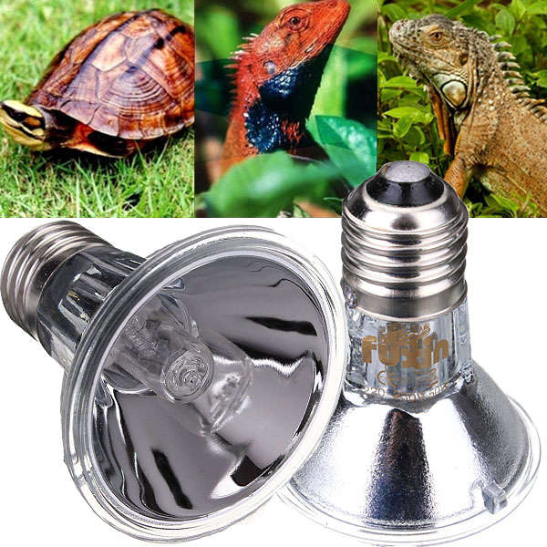 Reptile Halogen Spotlights Lamp