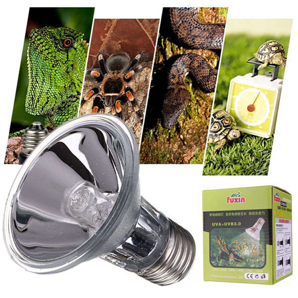 Reptile Halogen Spotlights Lamp