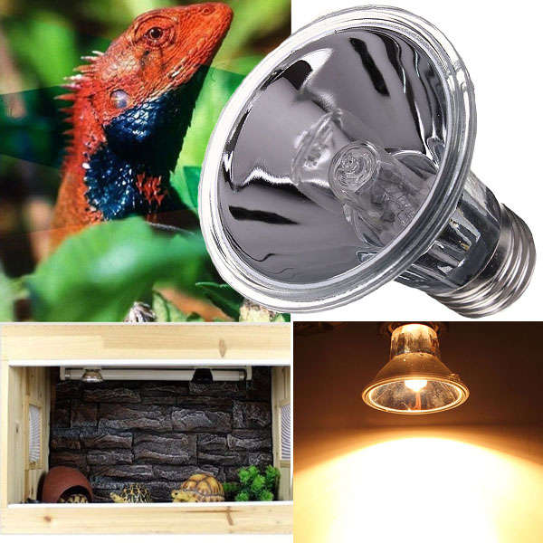 Reptile Halogen Spotlights Lamp