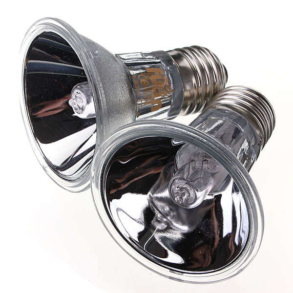 Reptile Halogen Spotlights Lamp