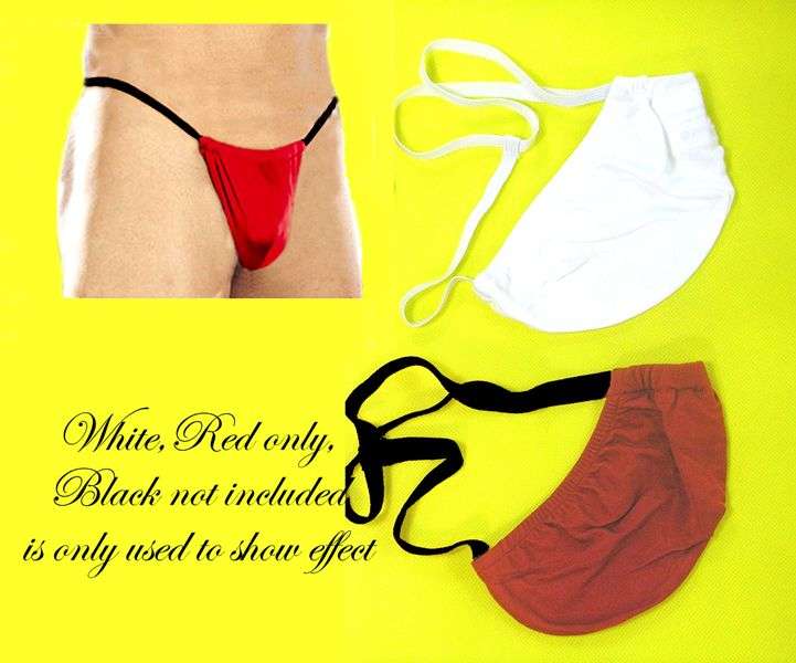 LOT 2PAIR PURE SILK KNIT BRIEFS MEN G-STRING POUCH THONG