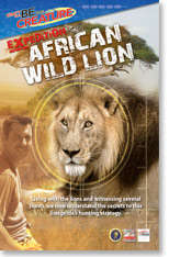 African Wild Lion - Be The Creature - Expedition African Wild Lion From National Geographic Channel