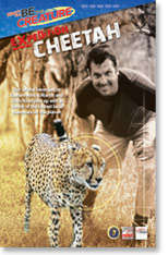 Cheetah - Be The Creature - Expedition Cheetah From National Geographic Channel ALL AGES Documentary