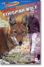 Ethiopian Wolf - Be The Creature - Expedition Ethiopian Wolf From National Geographic Channel ALL AG