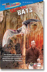 Bats - Be The Creature Season 2 - Expedition Bats Featuring Exciting Expeditions Of This Great Hit S