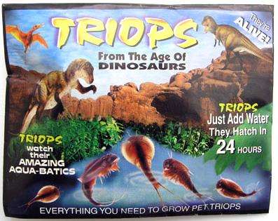 Triassic Triops Starter Kit - BARGAIN SALE - FREE SHIPPING