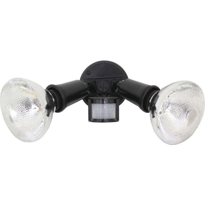 Eurolux Black Motion Sensor PAR38 Floodlight 150W